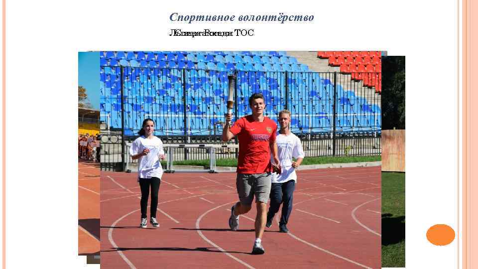 Спортивное волонтёрство Лыжня России ТОС Спартакиада 