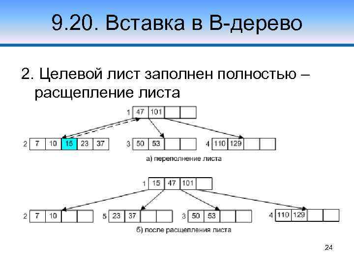 9. 20. Вставка в В-дерево 2. Целевой лист заполнен полностью – расщепление листа 24