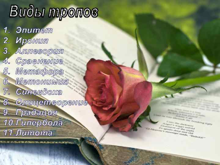 1. Эпитет 2. Ирония 3. Аллегория 4. Сравнение 5. Метафора 6. Метонимия 7. Синекдоха