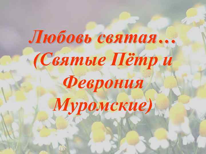 Любовь святая… (Святые Пётр и Феврония Муромские) 