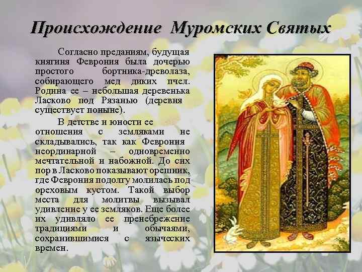 Происхождение Муромских Святых Согласно преданиям, будущая княгиня Феврония была дочерью простого бортника-древолаза, собирающего мед