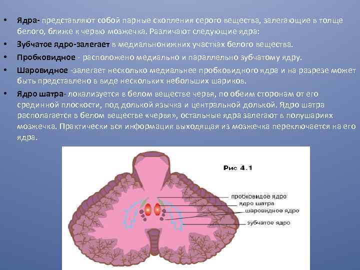 Ядро картины мира это