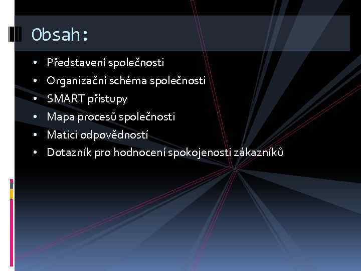 Obsah: • Představení společnosti • Organizační schéma společnosti • SMART přístupy • Mapa procesů