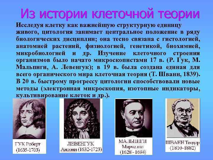Из истории клеточной теории Исследуя клетку как важнейшую структурную единицу живого, цитология занимает центральное