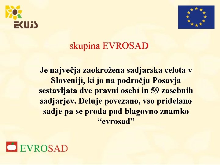skupina EVROSAD Je največja zaokrožena sadjarska celota v Sloveniji, ki jo na področju Posavja