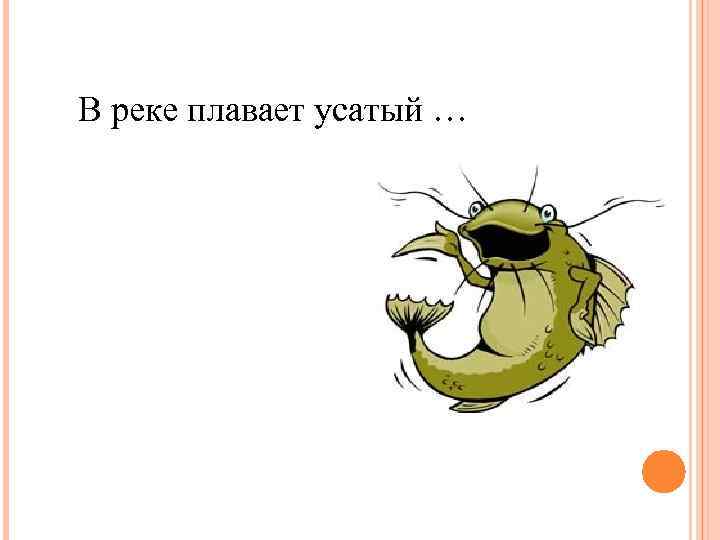 В реке плавает усатый … 