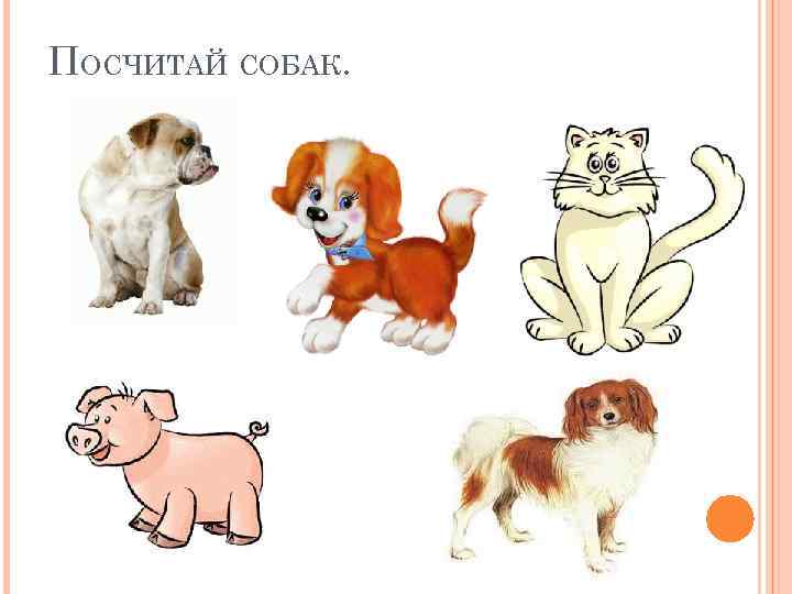 ПОСЧИТАЙ СОБАК. 