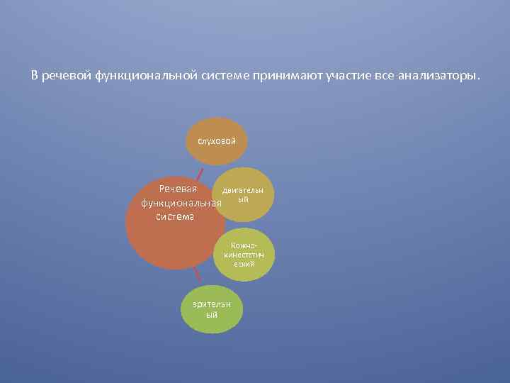 В речевой функциональной системе принимают участие все анализаторы. слуховой Речевая двигательн ый функциональная система
