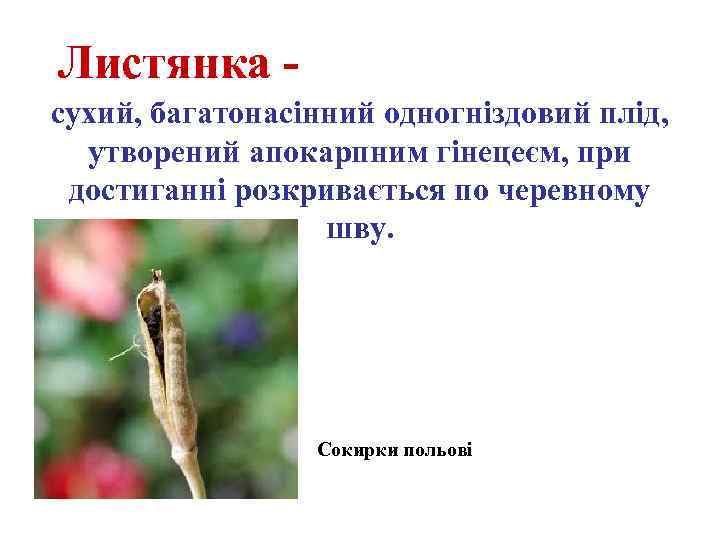 Листянка сухий, багатонасінний одногніздовий плід, утворений апокарпним гінецеєм, при достиганні розкривається по черевному шву.