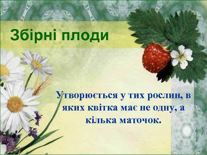 Збірні плоди Утворюється у тих рослин, в яких квітка має не одну, а кілька