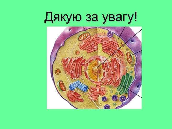 Дякую за увагу! 