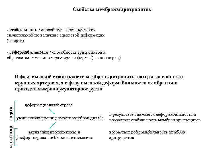Свойства мембраны эритроцитов - стабильность / способность противостоять значительной по величине сдвиговой деформации (в