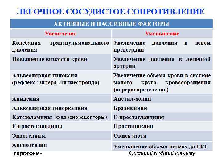 (α-адренорецепторы) серотонин functional residual capacity 