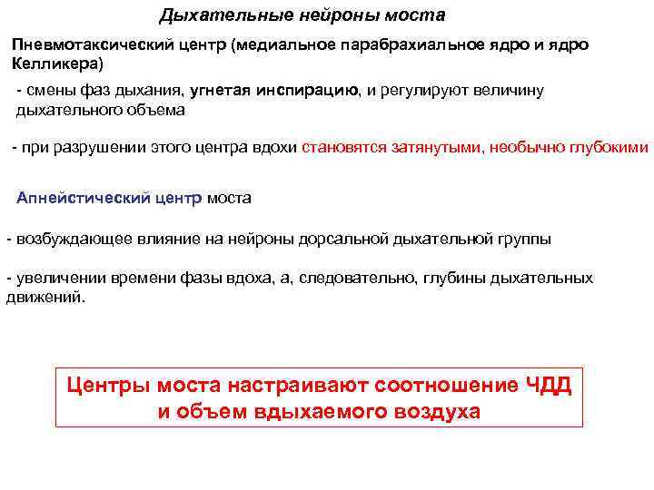 Дыхательные нейроны моста Пневмотаксический центр (медиальное парабрахиальное ядро и ядро Келликера) - смены фаз