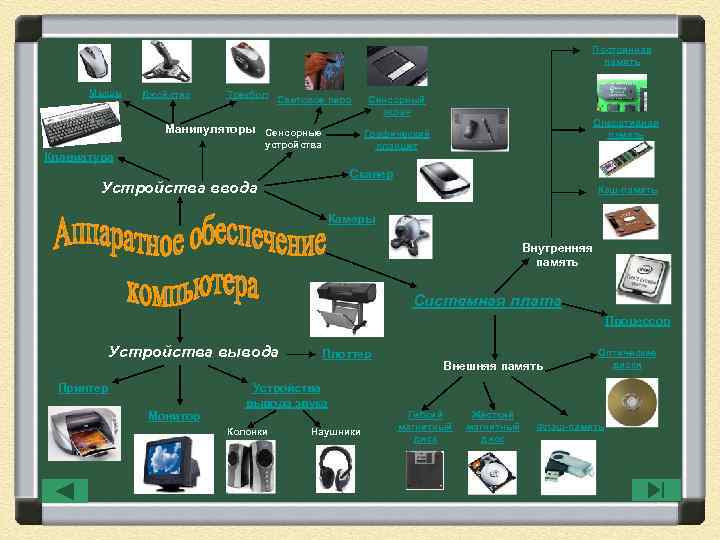 Постоянная память Мышь Джойстик Трекбол Световое перо Манипуляторы Сенсорные Оперативная память Графический планшет устройства