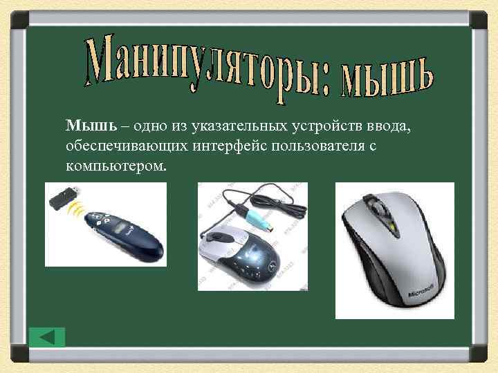 Мышь – одно из указательных устройств ввода, обеспечивающих интерфейс пользователя с компьютером. 