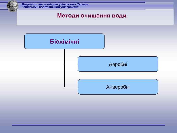 Національний технічний університет України 