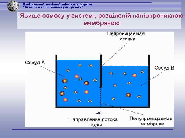 Національний технічний університет України 