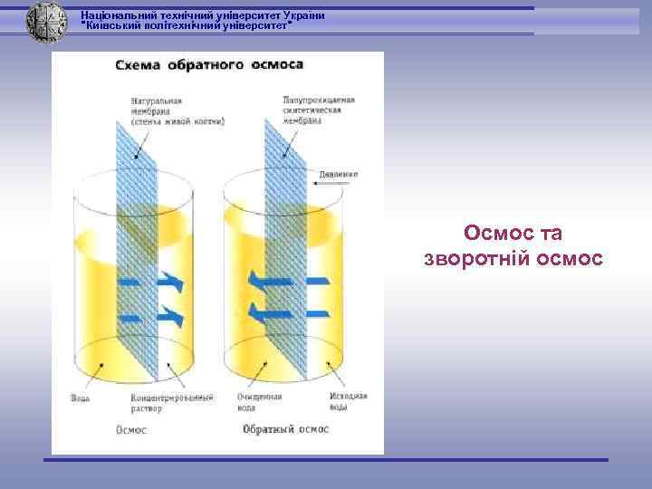 Національний технічний університет України 