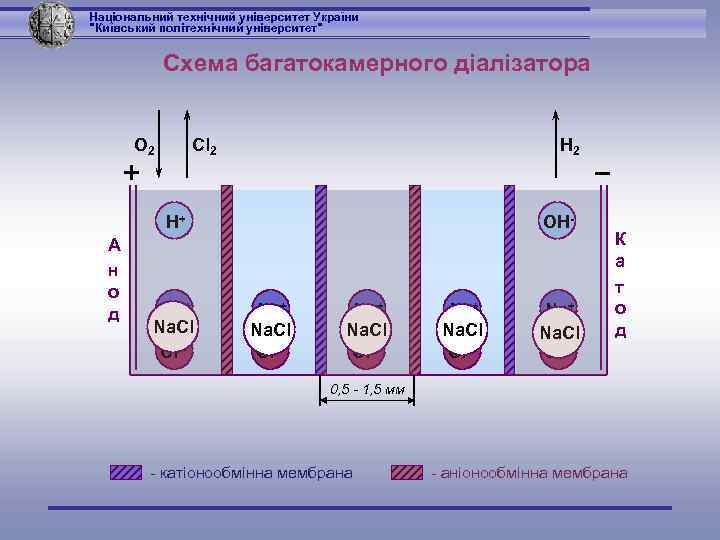 Національний технічний університет України 