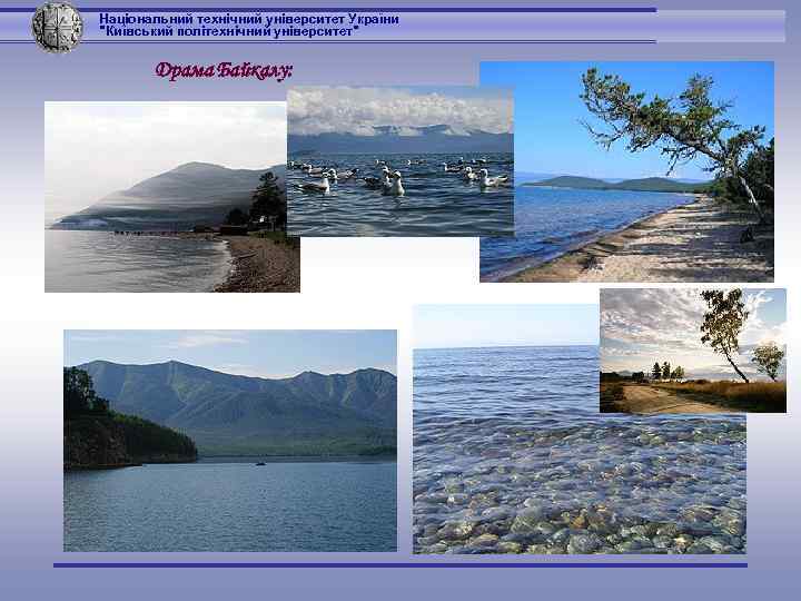 Національний технічний університет України 