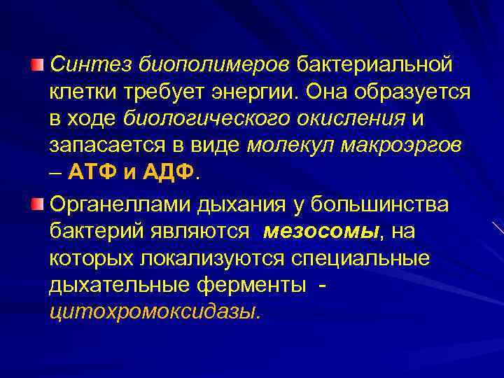 Синтез биополимеров бактериальной клетки требует энергии. Она образуется в ходе биологического окисления и запасается