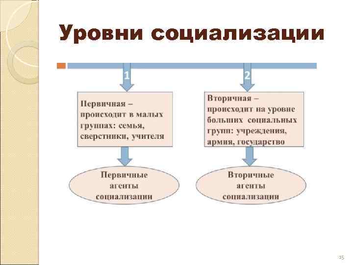 Уровни социализации 15 