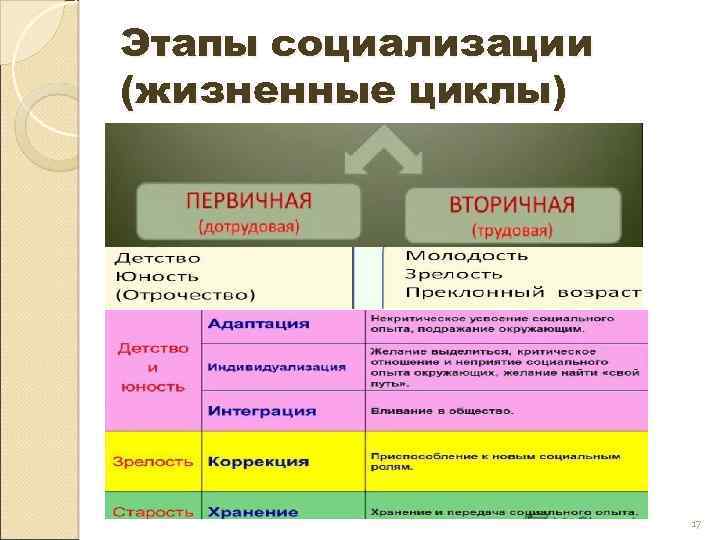 Этапы социализации (жизненные циклы) 17 