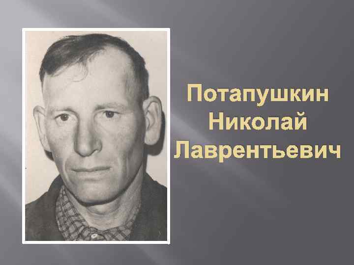 Потапушкин Николай Лаврентьевич 