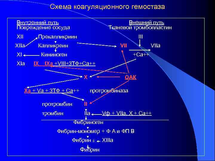 Схема коагуляционного гемостаза Внутренний путь Повреждение сосуда Внешний путь Тканевой тромбопластин XII Прекалликриин XIIa