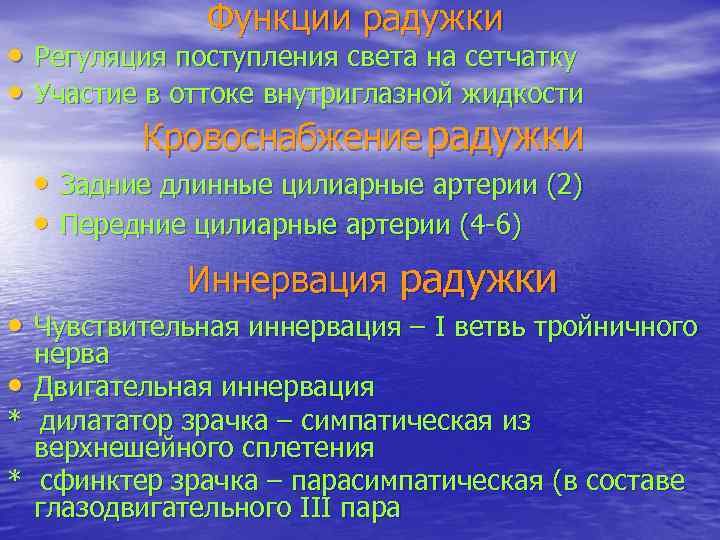 Функции радужки • Регуляция поступления света на сетчатку • Участие в оттоке внутриглазной жидкости