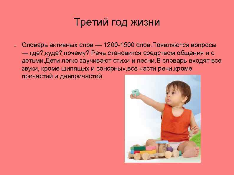 Третий год жизни ● Словарь активных слов — 1200 -1500 слов. Появляются вопросы —