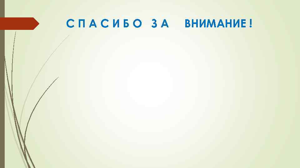 СПАСИБО ЗА ВНИМАНИЕ ! 