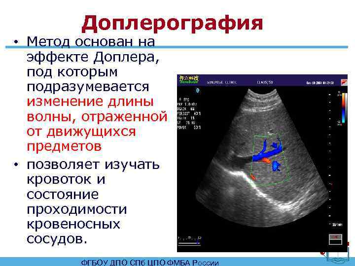 Полное руководство по лабораторным и инструментальным исследованиям у собак и кошек