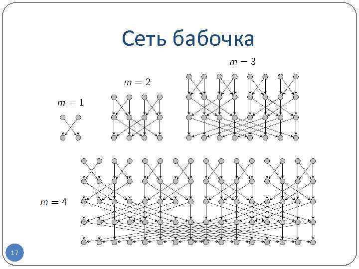 Сеть бабочка 17 