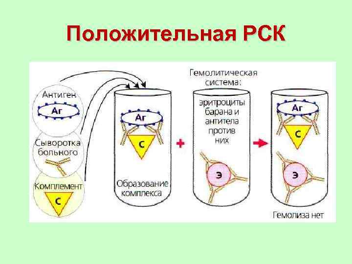 Положительная РСК 