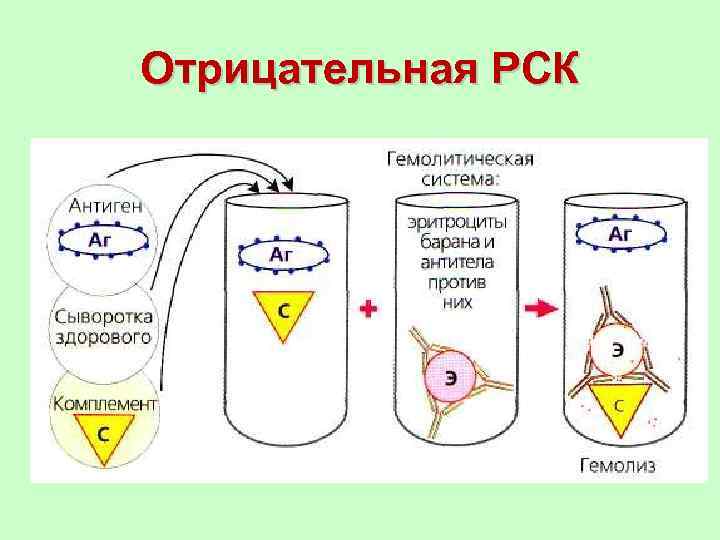 Отрицательная РСК 