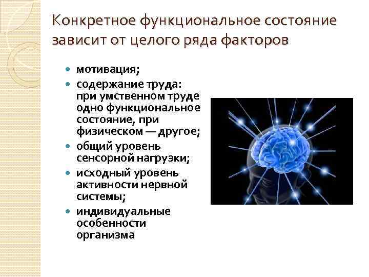 Конкретное функциональное состояние зависит от целого ряда факторов мотивация; содержание труда: при умственном труде