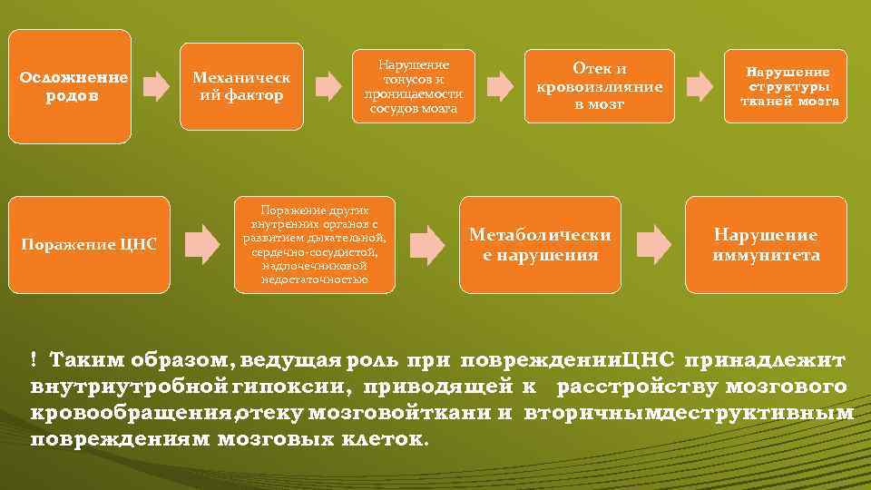Осложнение родов Поражение ЦНС Механическ ий фактор Нарушение тонусов и проницаемости сосудов мозга Поражение