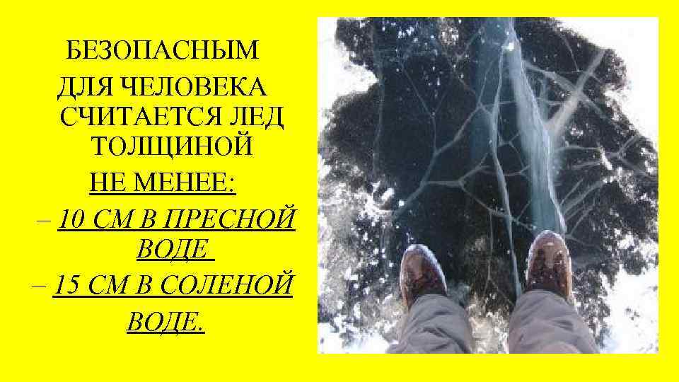 БЕЗОПАСНЫМ ДЛЯ ЧЕЛОВЕКА СЧИТАЕТСЯ ЛЕД ТОЛЩИНОЙ НЕ МЕНЕЕ: – 10 СМ В ПРЕСНОЙ ВОДЕ