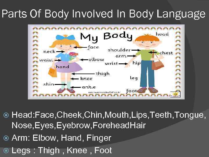 Parts Of Body Involved In Body Language Head: Face, Cheek, Chin, Mouth, Lips, Teeth,