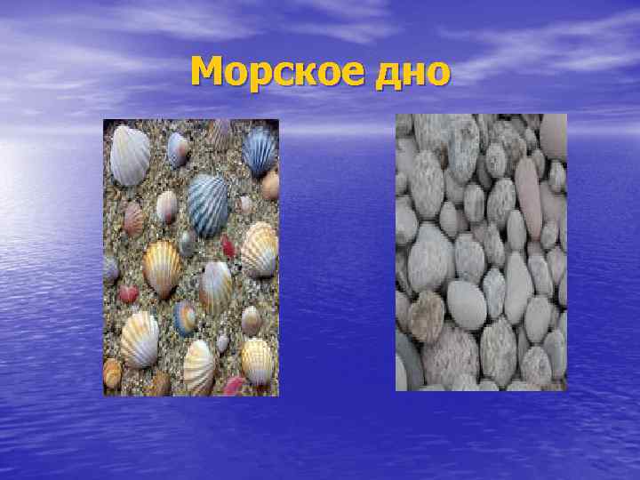 Морское дно 