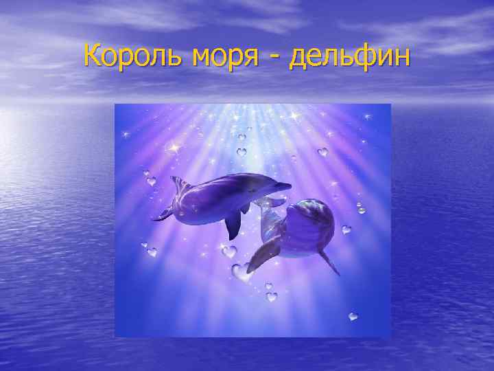 Король моря - дельфин 