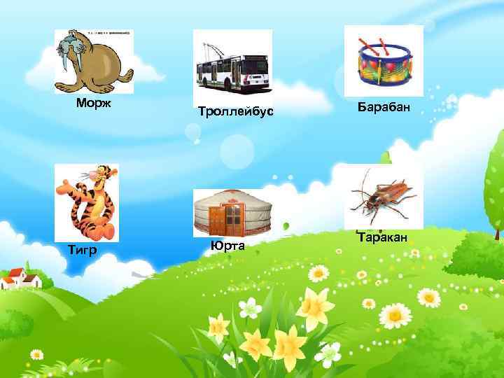 Морж Тигр Троллейбус Юрта Барабан Таракан 