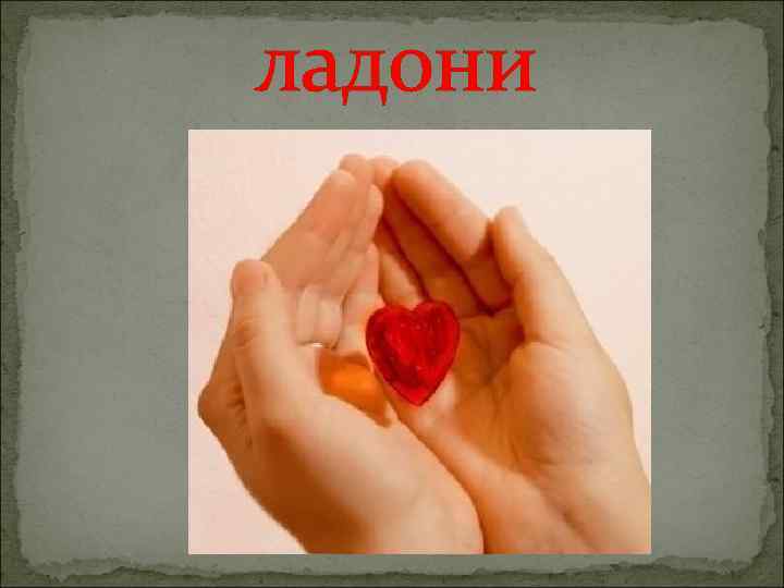 ладони 