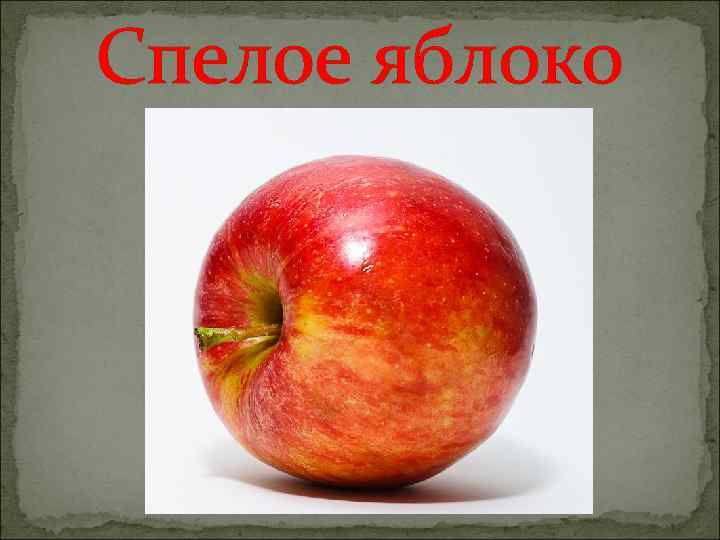 Спелое яблоко 