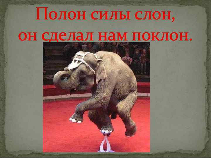 Полон силы слон, он сделал нам поклон. 