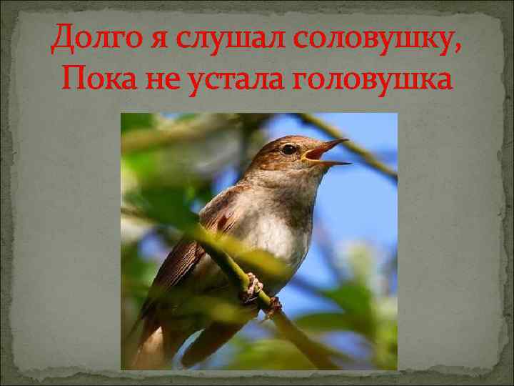 Долго я слушал соловушку, Пока не устала головушка 