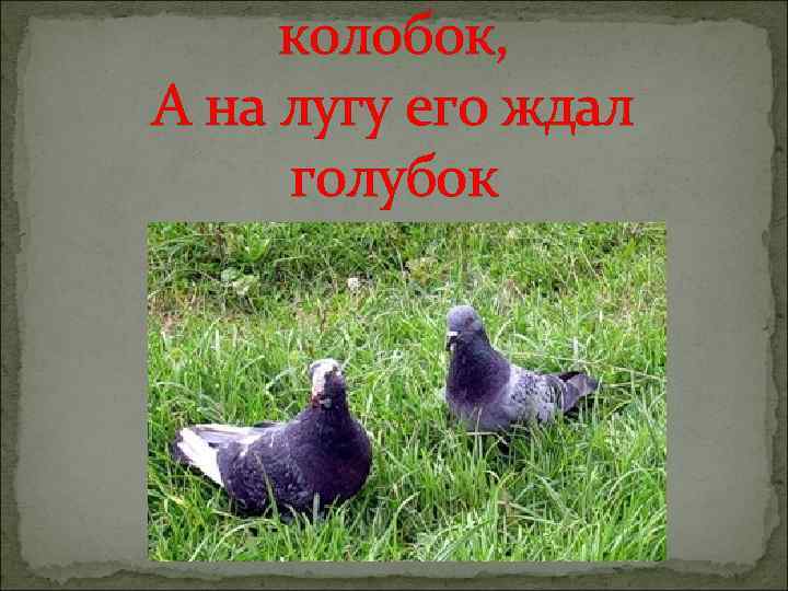 колобок, А на лугу его ждал голубок 