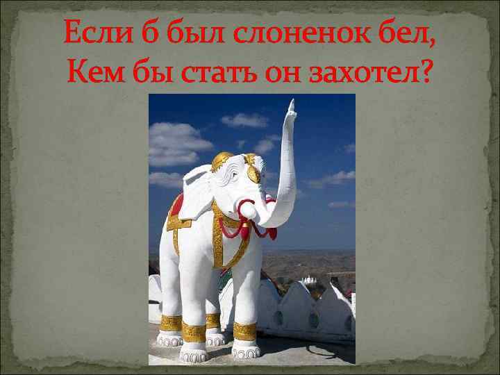 Если б был слоненок бел, Кем бы стать он захотел? 